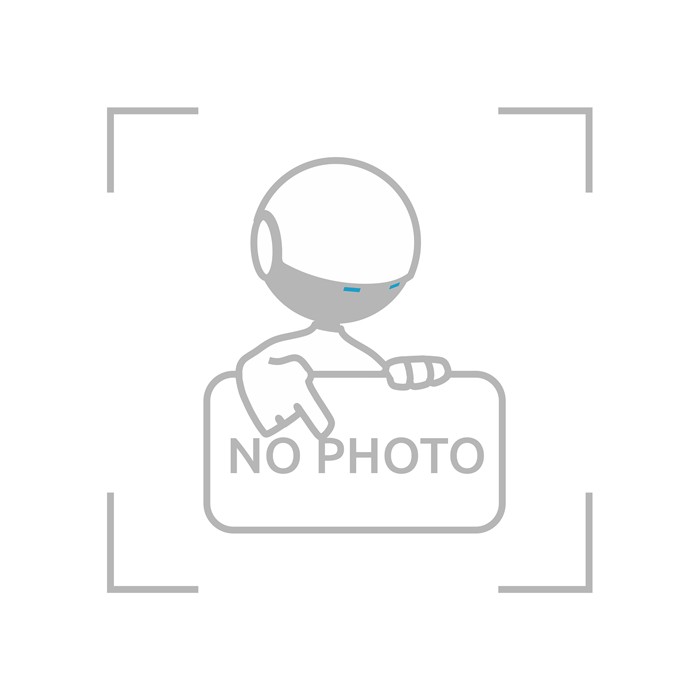 Ni-MH Rechargeable battery VIDEX HR03 800mAh 2pcs BLISTER