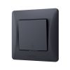 Switch 1 gang pass black graphite VIDEX BINERA