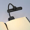 LED RECHARGEABLE READING LAMP VIDEX VL-NL134B Black