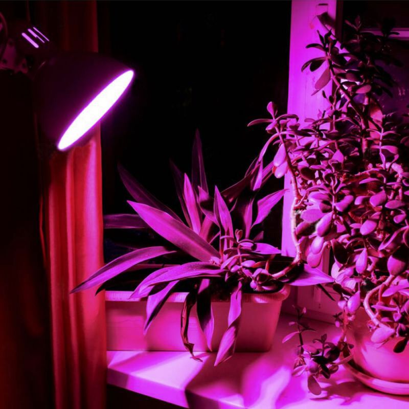 LED Żarówka do uprawy roślin VIDEX-E27-A60-8W-FITO